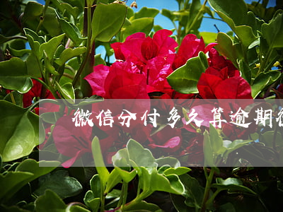 微信分付多久算逾期(微信分付多久算逾期)