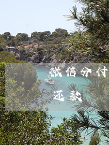 微信分付能逾期几天-微信分付能逾期几天还款