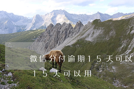 微信分付逾期15天可以用嗎(微信分付逾期15天可以用嗎)