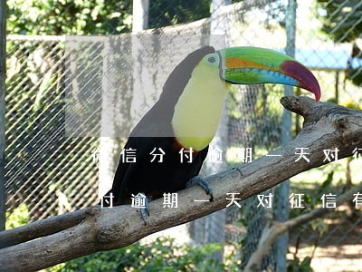 微信分付逾期一天对征信有影响吗-微信分付逾期一天对征信有影响吗怎么办