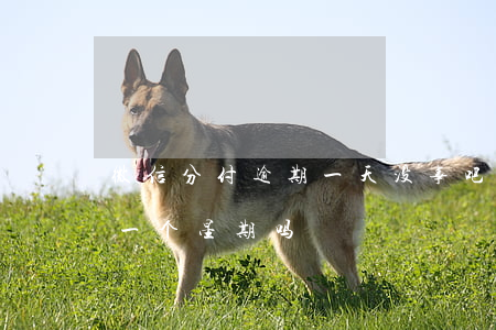 微信分付逾期一天没事吧(微信分付可以逾期一个星期吗)