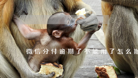 微信分付逾期了不能用了怎么辦
