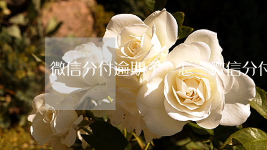 微信分付逾期了會怎樣（微信分付能逾期多久）