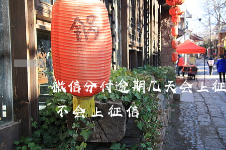微信分付逾期几天会上征信(微信逾期一天会不会上征信)