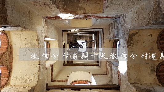 微信分付逾期十天 微信分付逾期两天