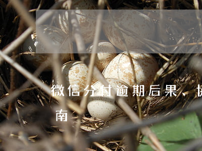 微信分付逾期：后果、協(xié)商還款指南