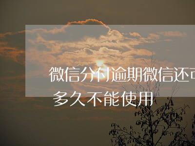 微信分付逾期微信还可以用吗 微信分付逾期多久不能使用