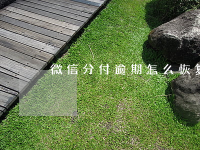 微信分付逾期怎么恢复