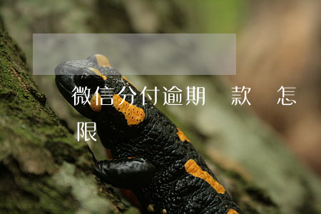 微信分付逾期還款會怎樣(微信支付分還款期限)