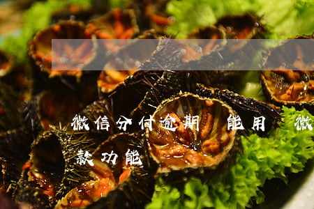 微信分付逾期還能用嗎（微信分付逾期限制付款功能）