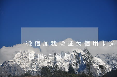 微信加我验证为信用卡逾期(微信加我验证为信用卡逾期)
