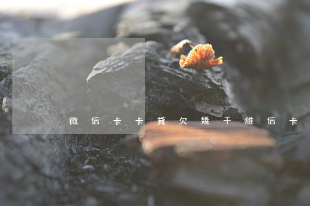 微信卡卡貸欠幾千(維信卡卡貸人工客服電話)
