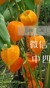微信卡卡貸逾期一天-微信卡卡貸銀行處理中四天了