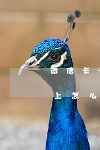微信卡卡貸逾期不還(微粒貸信用卡逾期還不上怎么辦)