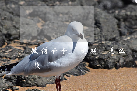 微信卡卡貸逾期會怎么樣(微信卡卡貸多久放款)