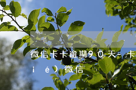 微信卡卡逾期90天-卡卡貸逾期凍結(jié)微信