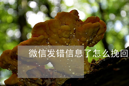 微信发错信息了怎么挽回啊