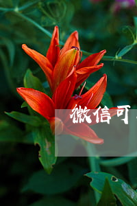 微信可以交起訴費(fèi)嗎