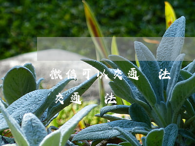 微信可以交通違法舉報嗎(可以到交警隊舉報交通違法)