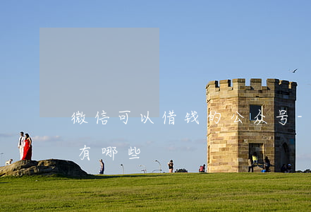 微信可以借钱的公众号-微信借钱的公众号有哪些