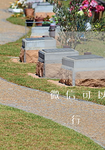 微信可以用信用卡還信用卡嗎（信用卡逾期了銀行會添加微信嗎）