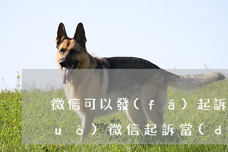 微信可以發(fā)起訴訟嗎(可以通過(guò)微信起訴當(dāng)事人嗎)