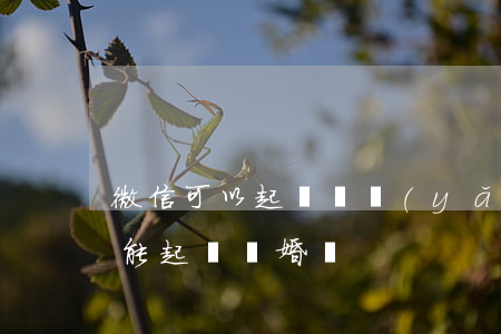 微信可以起訴撫養(yǎng)費嗎-微信能起訴離婚嗎