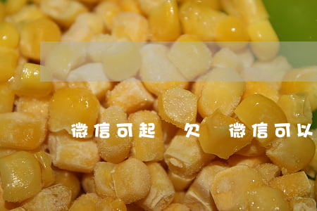 微信可起訴欠賬(微信可以起訴欠款人嗎)