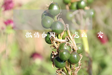 微信合同糾紛怎么確定