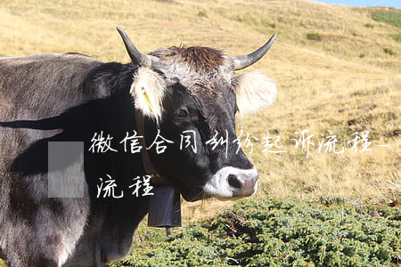 微信合同纠纷起诉流程-微信合同纠纷起诉流程