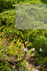 微信名片逾期(微信 名片過期)