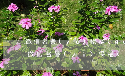 微信名譽(yù)侵權(quán)被起訴(微信名譽(yù)侵權(quán)被起訴怎么辦)