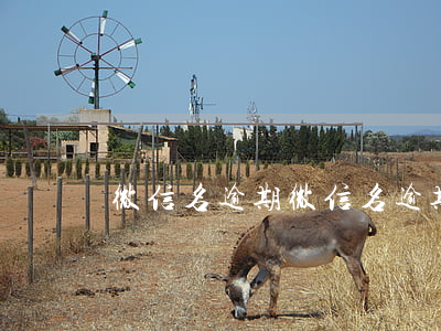 微信名逾期(微信名逾期)