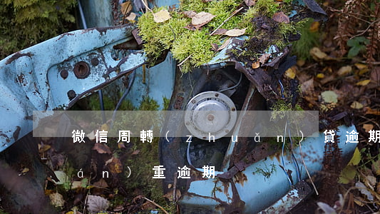 微信周轉(zhuǎn)貸逾期(微貸嚴(yán)重逾期)