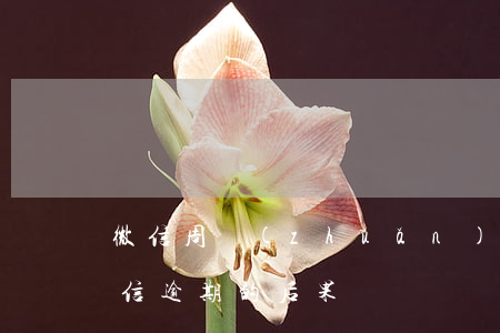 微信周轉(zhuǎn)逾期了會怎么樣(微信逾期的后果)