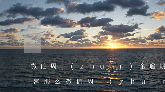 微信周轉(zhuǎn)金逾期可以找人工客服么(微信周轉(zhuǎn)金逾期可以找人工客服么)