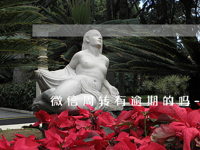 微信周转有逾期的吗-微信周转不还可以吗