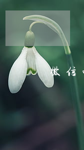 微信咋发起起诉怎么办(微信怎么起诉立案)