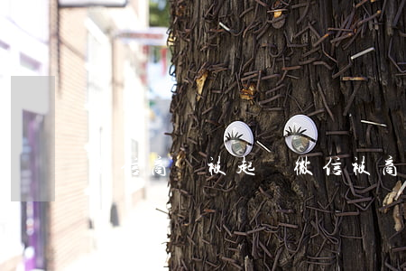 微信商戶被起訴(微信被商戶騙了怎么辦)