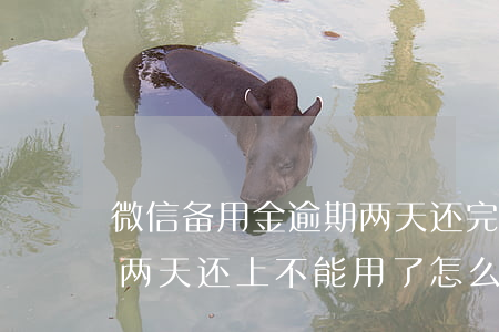 微信备用金逾期两天还完用不了(备用金逾期两天还上不能用了怎么办)
