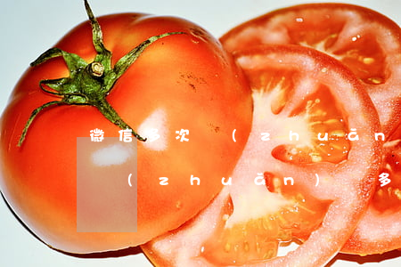 微信多次轉(zhuǎn)賬如何起訴(微信轉(zhuǎn)賬多次給朋友能起訴嗎)