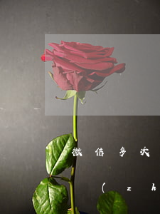 微信多次轉(zhuǎn)賬起訴模板(微信轉(zhuǎn)賬起訴案例)