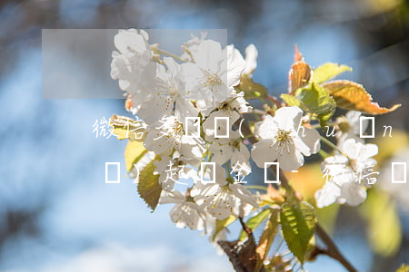 微信多筆轉(zhuǎn)賬如何寫(xiě)起訴金額-微信轉(zhuǎn)賬多少可以起訴追回?