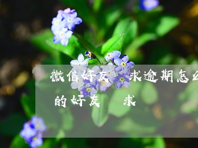 微信好友請求逾期怎么加(怎樣添加微信過期的好友請求)