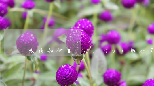微信如何調(diào)解合同糾紛