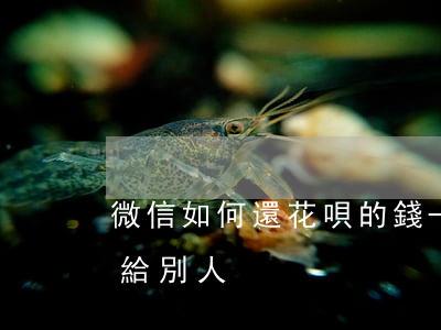 微信如何還花唄的錢-微信如何還花唄的錢給別人