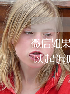 微信如果骂对方可以起诉么(微信上骂我,我可以起诉吗)