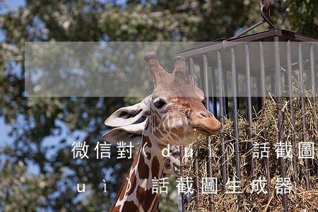 微信對(duì)話截圖生成器(微信對(duì)話截圖生成器)