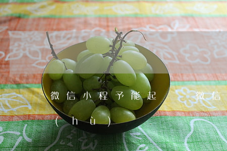 微信小程予能起訴嗎(微信小程序受法律保護(hù)嗎)