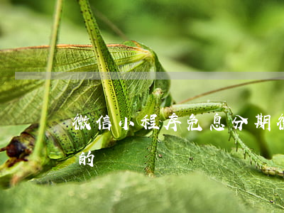 微信小程序免息分期(微信小額分期貸款是真的嗎)